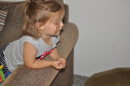 Greta watching JB in the dog bed